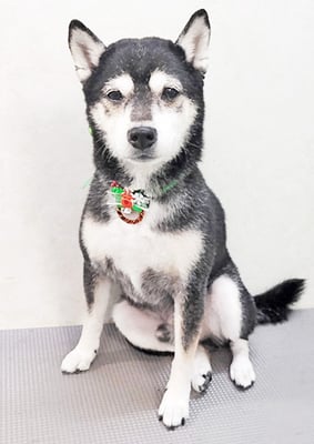 岩﨑レイちゃん