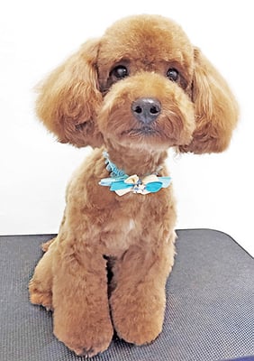 栗田ジンちゃん