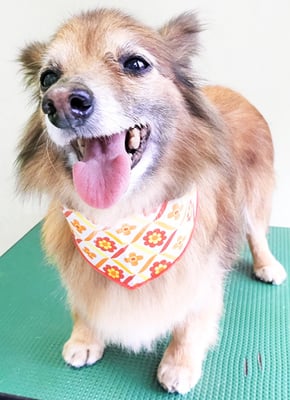 田島ベリちゃん