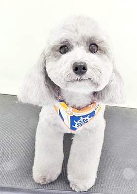 田中ロビンちゃん