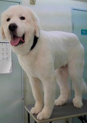 濱田ミルクちゃん