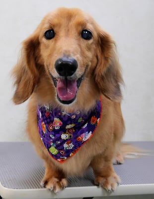 﨑戸ジュリアちゃん