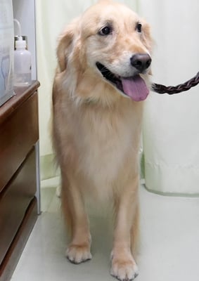 美代ジューンちゃん