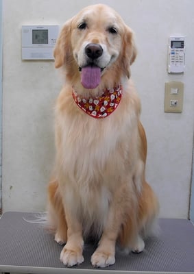 美代ジューンちゃん