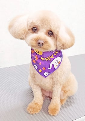 岩元ナノちゃん