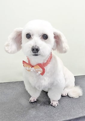 北田ミルクちゃん