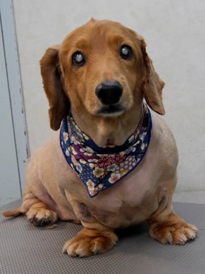 上野モンタちゃん