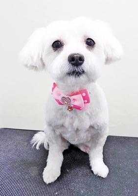 川嵜モコちゃん