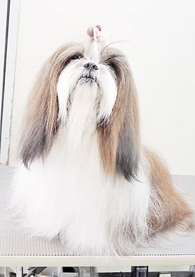 眞邉モモちゃん