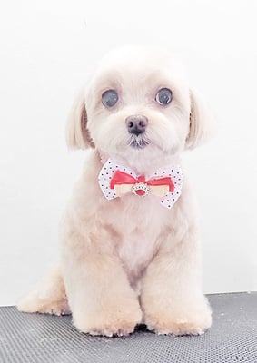 永濱サラちゃん