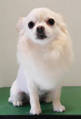 森崎ヒメちゃん