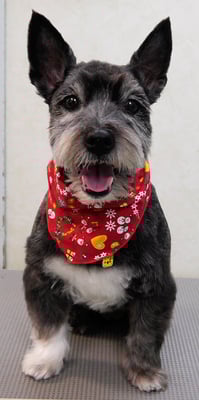 蔵薗ヒメちゃん