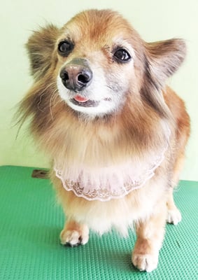 田島ベリちゃん