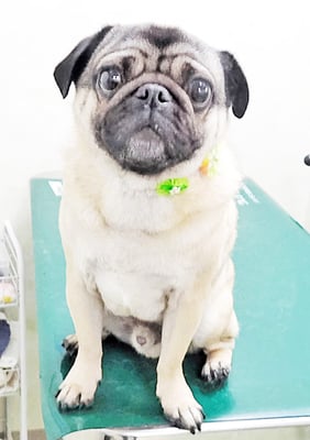 田邊ギンちゃん