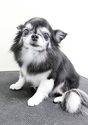 八木クロちゃん