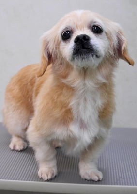 濵平メルちゃん