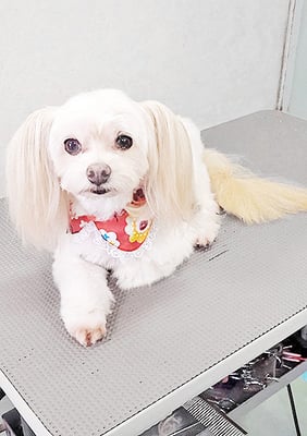 大脇ココアちゃん