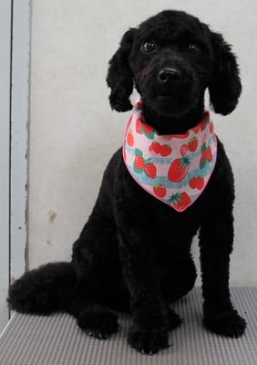 竹内すみれちゃん