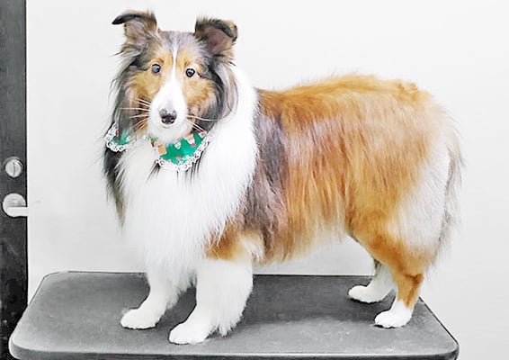 國生レイラちゃん