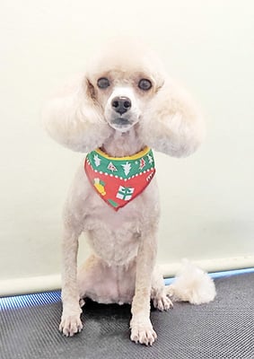 新留モコちゃん