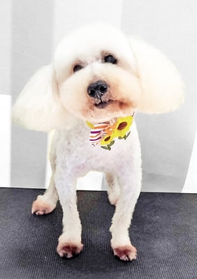 工藤ぷー太郎ちゃん