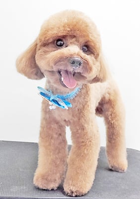 大山弦之介ちゃん