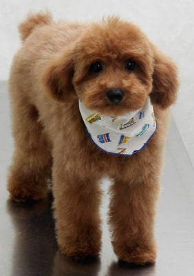 森田諭吉ちゃん