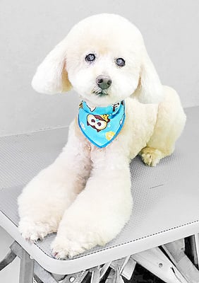 濱村小太郎ちゃん