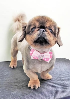 大里キラちゃん