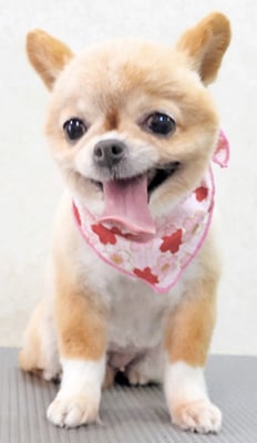 川田オカンちゃん