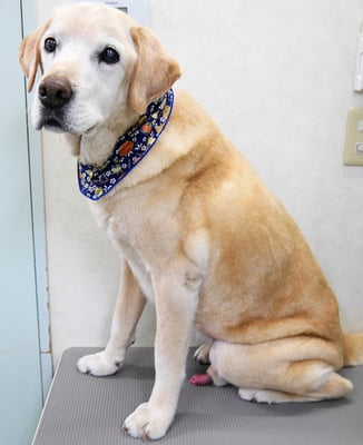 平松マックスちゃん