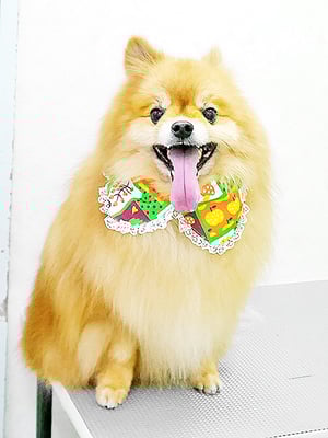 大井ポンタちゃん