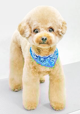 二見りくちゃん