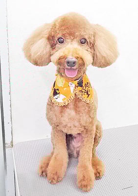 鶴虎太郎ちゃん