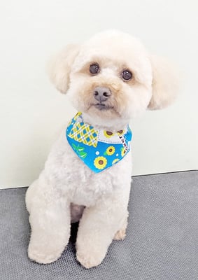 藤久保くうたちゃん