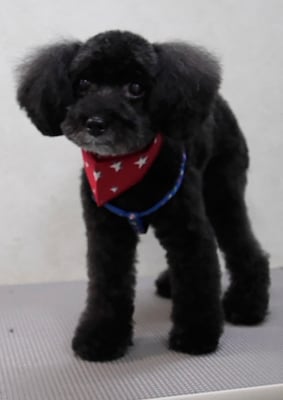 中井ヒナちゃん