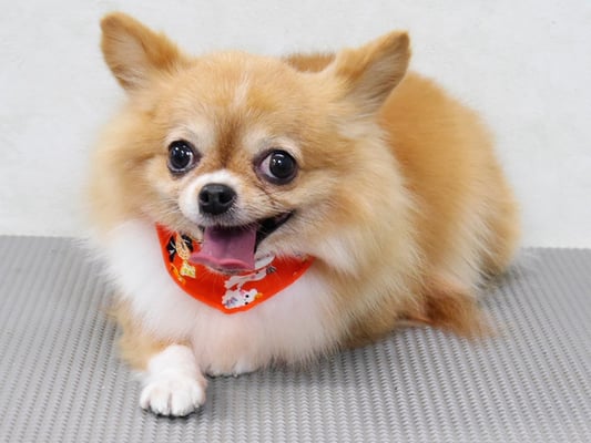 川田オカンちゃん