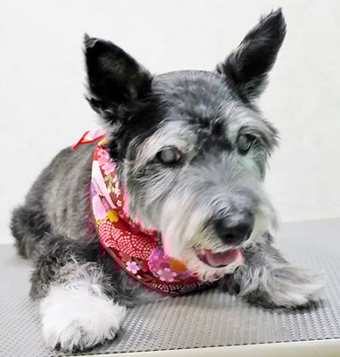 蔵薗ヒメちゃん