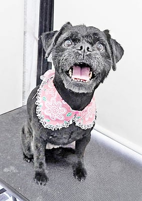 徳田あずきちゃん