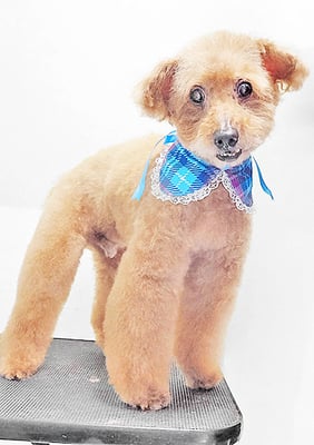 前田ソルファちゃん