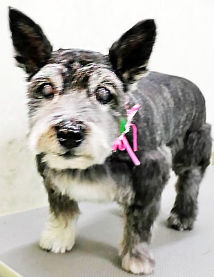 蔵薗ヒメちゃん