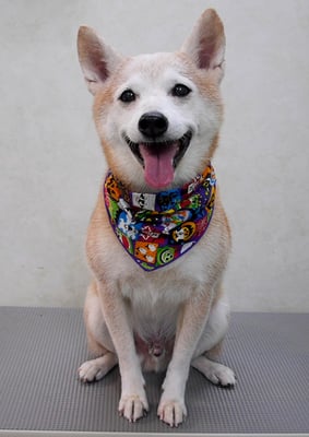 有馬コタロウちゃん