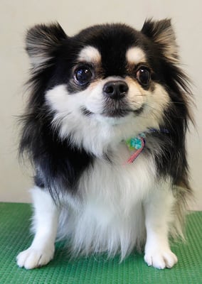 濱本シュウちゃん