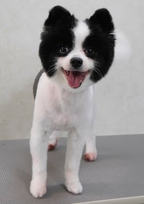 森崎マリアンちゃん