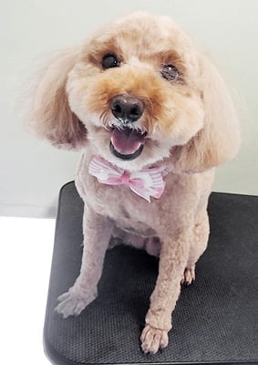 山下アンちゃん