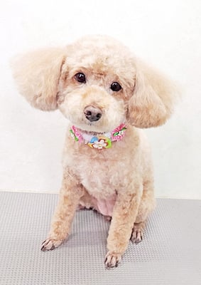 富永モカちゃん