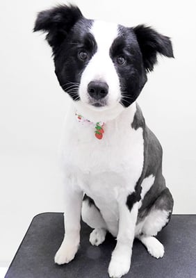 中薗シェリーちゃん