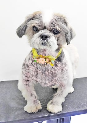 有馬陸斗ちゃん