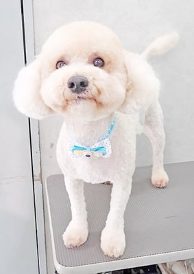 有村ルークちゃん