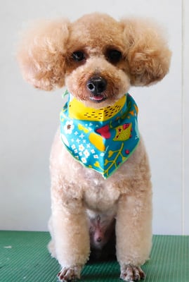 二宮モコちゃん